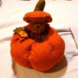 Rare Boyds Bear collection pop up surprise pumpkin